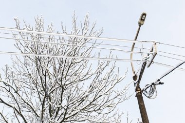 Bir sokak lambası ve arka planda karla kaplı bir sürü kablo mavi gökyüzü ve donmuş ağaç.