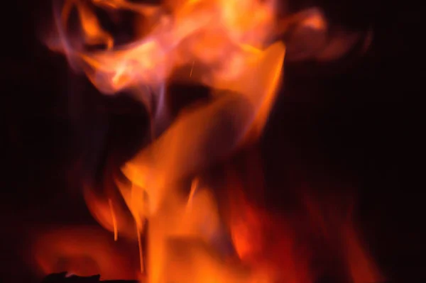 long tongues of flame in the shape of a dragon\'s head, from burning wood firewood in the boiler