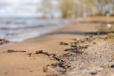the shoreline: smooth, clean sand washed by waves freshwater lakes with crystal clear water, natural waste made by the water on the shore