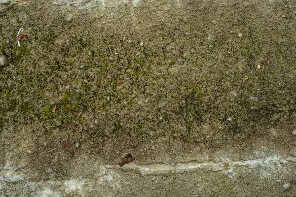 古い時代の痕跡を持つ古代の湿ったコンクリートの壁 — ストック写真