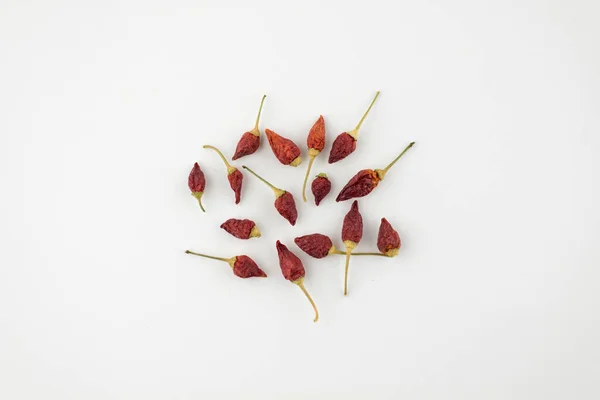 Hot Spices Few Dried Spicy Chili Peppers White Background — Stock Photo, Image