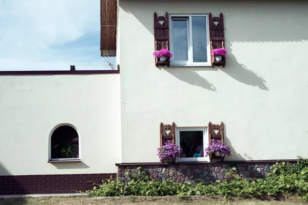 Due Finestre Con Vasi Fiori Sulla Facciata Dell Edificio — Foto Stock