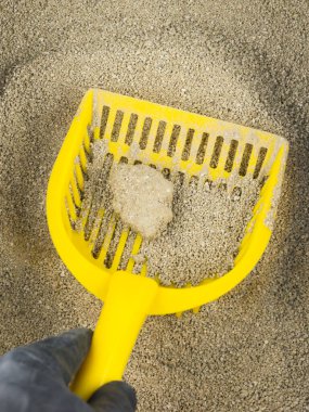 Evcil hayvan tuvaleti hijyeni: Sarı plastik kepçeyle kedi kumu, eldivenle eldiven kedi pisliğini dışkıdan ayırır