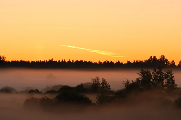 Sonnenaufgang am nebligen Morgen — Stockfoto