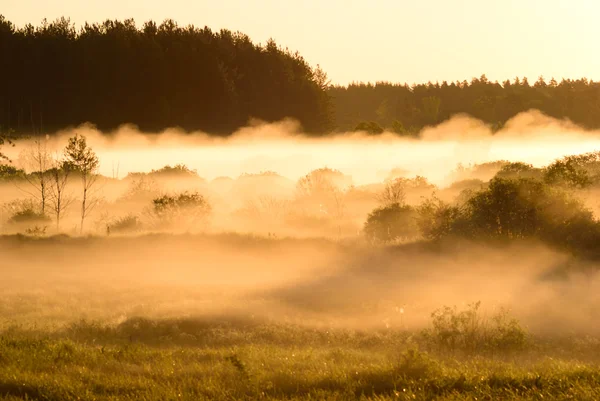 Sunrise on foggy morning — Stock Photo, Image