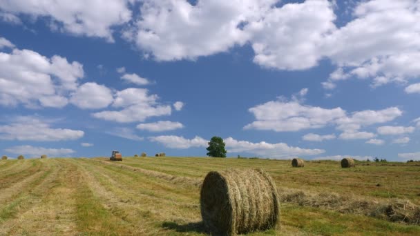 Video Opname Van Seizoenarbeid Landbouwtrekker Voederbereiding Oogsten Van Diervoeders Voor — Stockvideo
