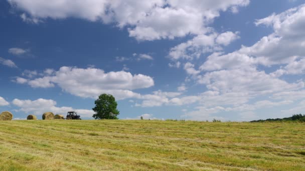 Video Lavoro Stagionale Trattore Agricolo Preparazione Dei Mangimi Raccolta Dei — Video Stock