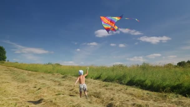 Mały Chłopiec Gra Kolorowy Latawiec Polu Zieloną Trawą Błękitne Niebo — Wideo stockowe