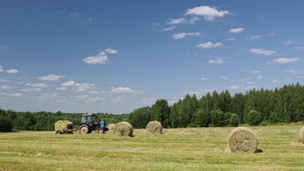 Mevsimlik Tarım Traktörü Beslenme Hazırlığı Çiftlik Hayvanları Için Yem Toplama — Stok video
