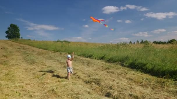 Menino Brincando Pipa Colorida Campo Com Grama Verde Céu Azul — Vídeo de Stock