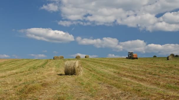Videofelvétel Szezonális Munkáról Mezőgazdasági Traktorról Takarmány Előkészítésről Haszonállatok Takarmányozásáról — Stock videók