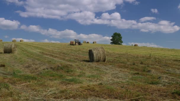 Capture Vidéo Travail Saisonnier Tracteur Agricole Préparation Des Aliments Récolte — Video