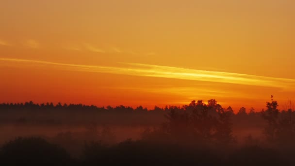 Sonnenaufgang am nebligen Morgen — Stockvideo