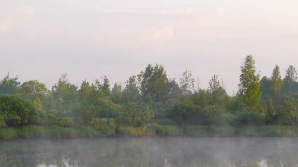 Vroeg in de ochtend op de rivier met een Lonetree en bewegende mist — Stockvideo