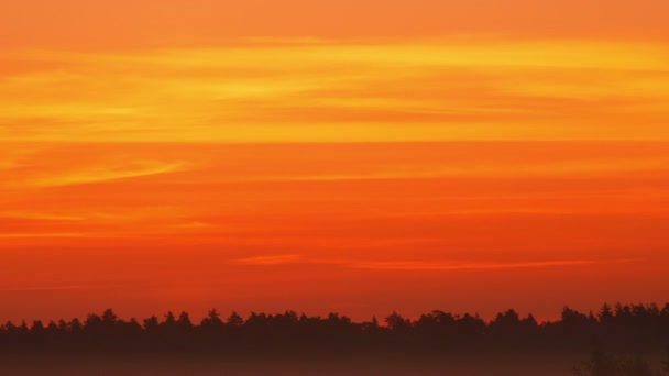 Lever de soleil sur le matin brumeux — Video