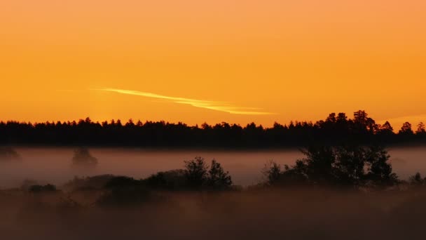 Sunrise on foggy morning — Stock Video