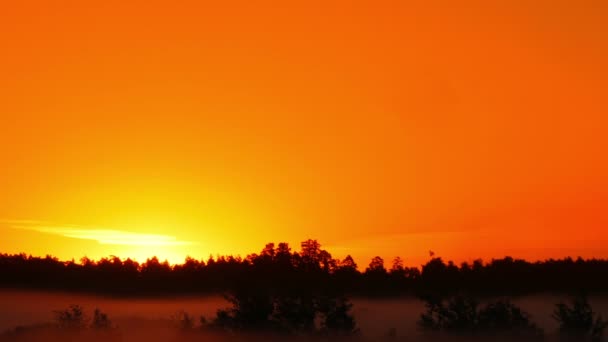 Alba su mattina nebbiosa — Video Stock