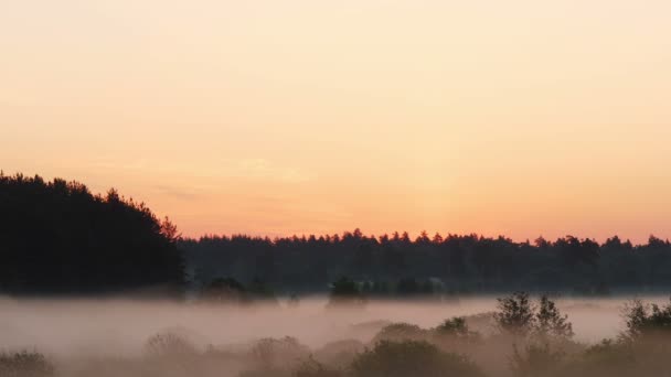 Niebla en movimiento al amanecer — Vídeos de Stock