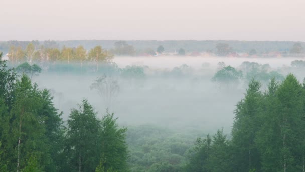 Niebla en movimiento al amanecer — Vídeo de stock