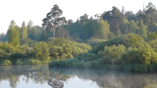 Temprano en la mañana en el río con un árbol solitario y niebla en movimiento — Vídeo de stock