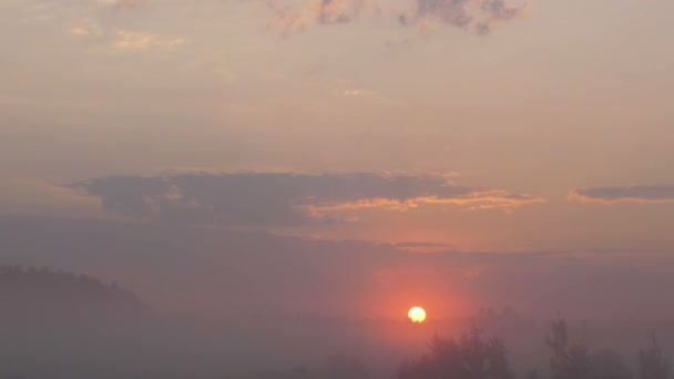 Salida del sol en la mañana brumosa — Vídeo de stock