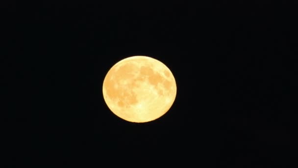 Tele shot of the supermoon — Stock Video