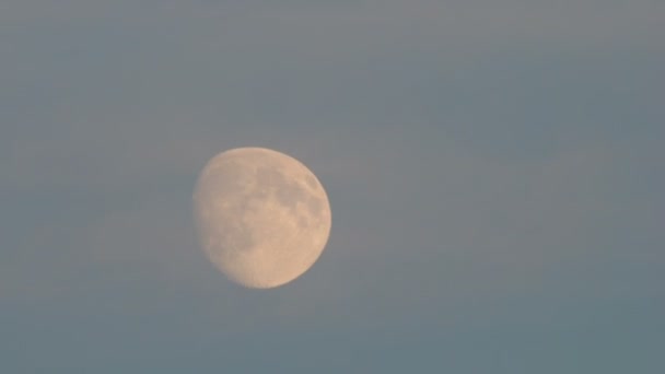 Tele shot of moon before the supermoon — Stock Video