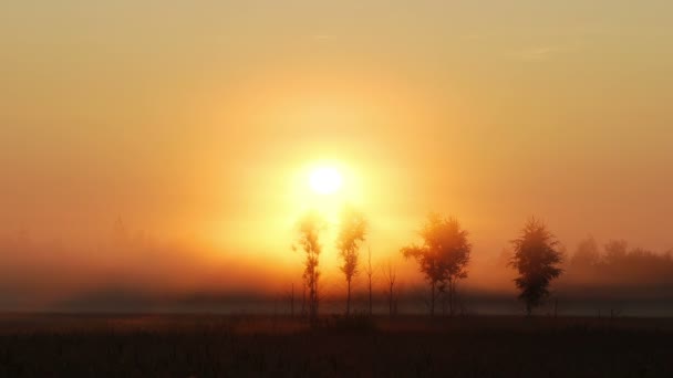 Wschód słońca na mglisty poranek — Wideo stockowe