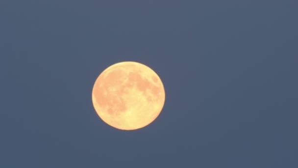 Tele shot of the supermoon — Stock Video