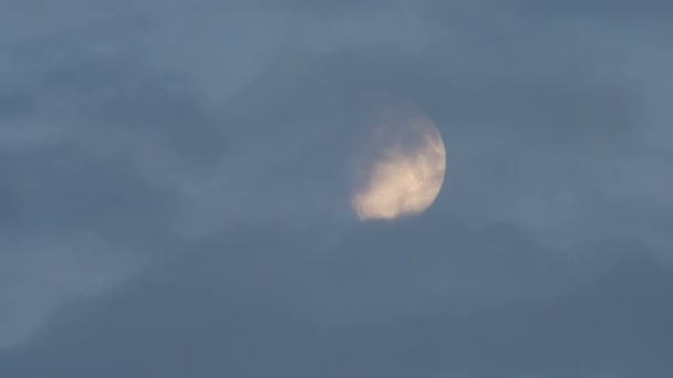 Tele shot of moon before the supermoon — Stock Video