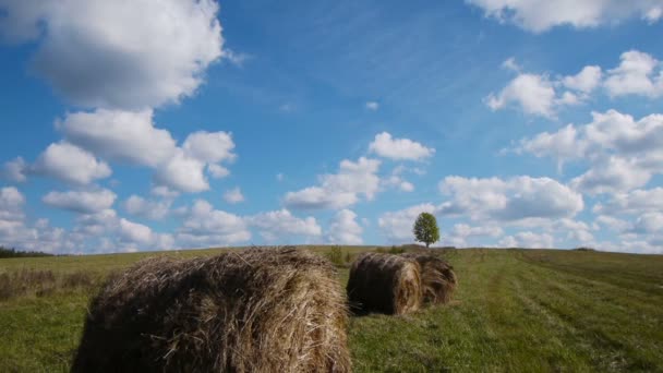 干草捆对阵孤树 — 图库视频影像