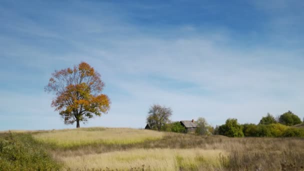 Paisaje otoñal con casa rural de madera — Vídeo de stock