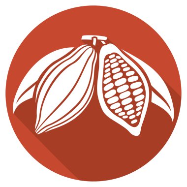 kakao çekirdeği düz simgesi