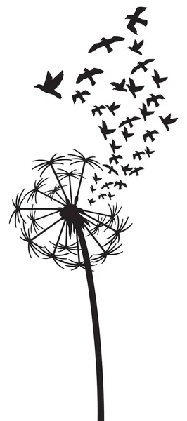 Dandelion Dengan Gambar Vektor Burung Stok Ilustrasi Bebas Royalti