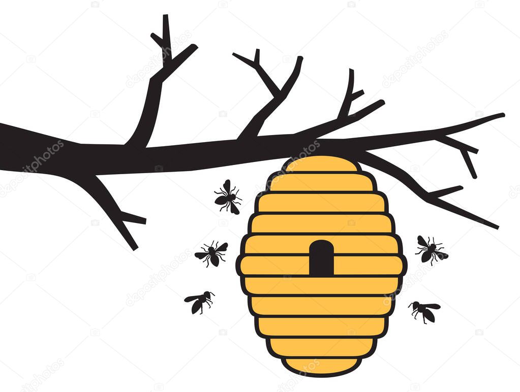 Bees and beehive on tree branch. Honey design. 