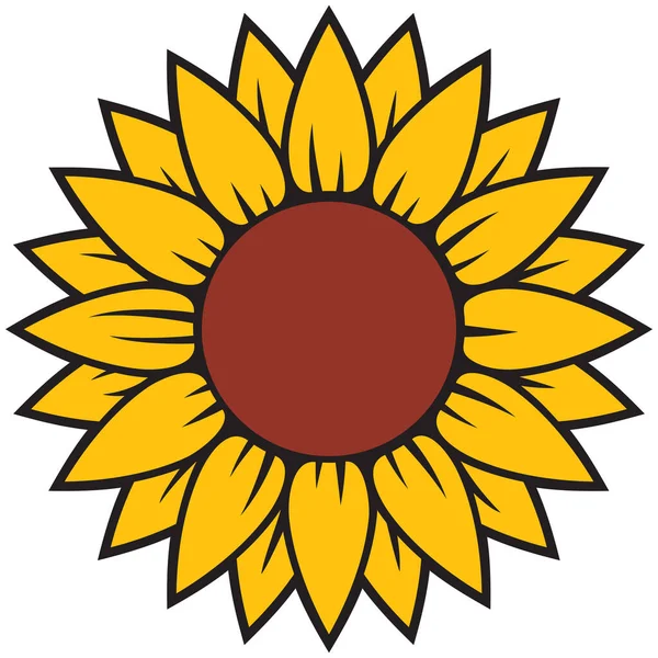 Vector Girasol Ilustración Color — Vector de stock