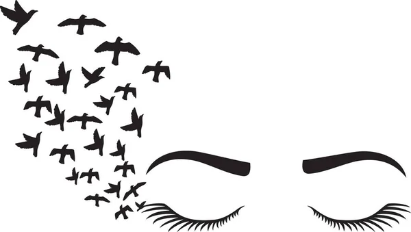 Woman Eyelashes Eyebrow Birds — Stock Vector