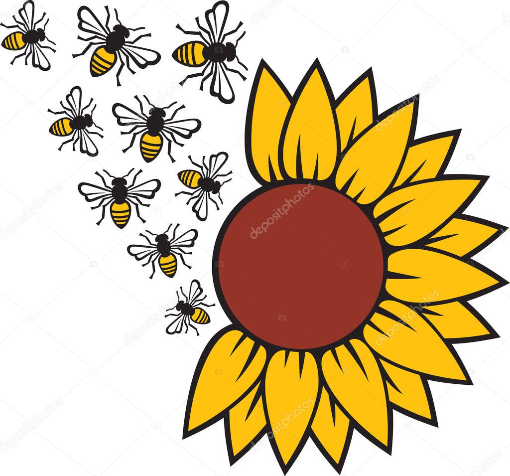 Sunflower and Bee vector illustration