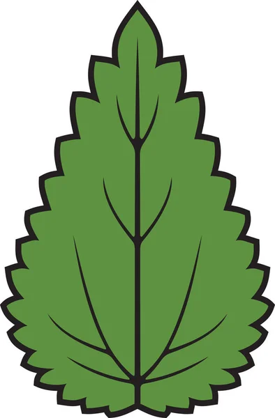 Nettle Leaf Color Vector Illustration — 스톡 벡터