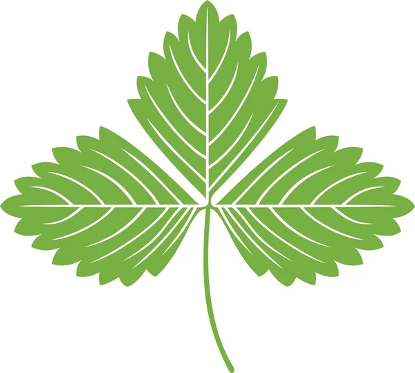 Φράουλα Πράσινο Φύλλο Διανυσματική Απεικόνιση — Διανυσματικό Αρχείο