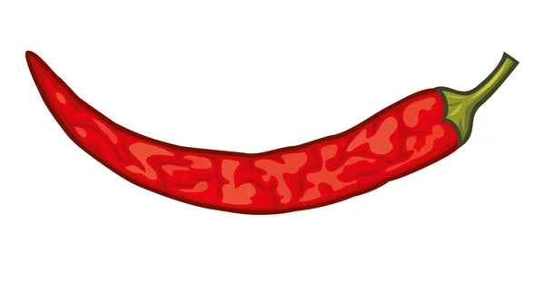 Gedroogde chili peper — Stockvector