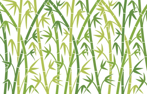 Green bamboo stems — Stock Vector