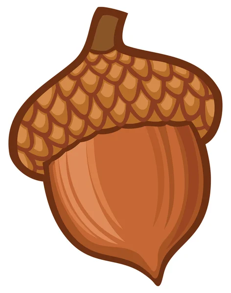 Één bruin acorn — Stockvector