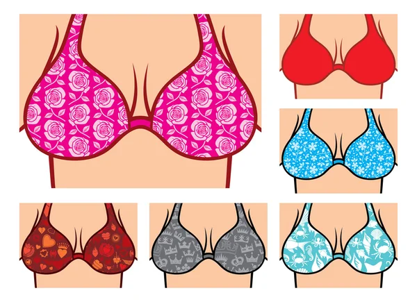 Seins sexy en soutien-gorge — Image vectorielle