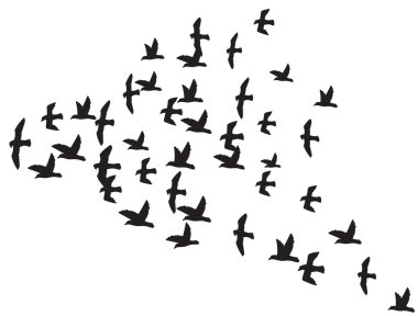 a flock of flying birds