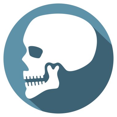 insan kafatası profil düz simgesi