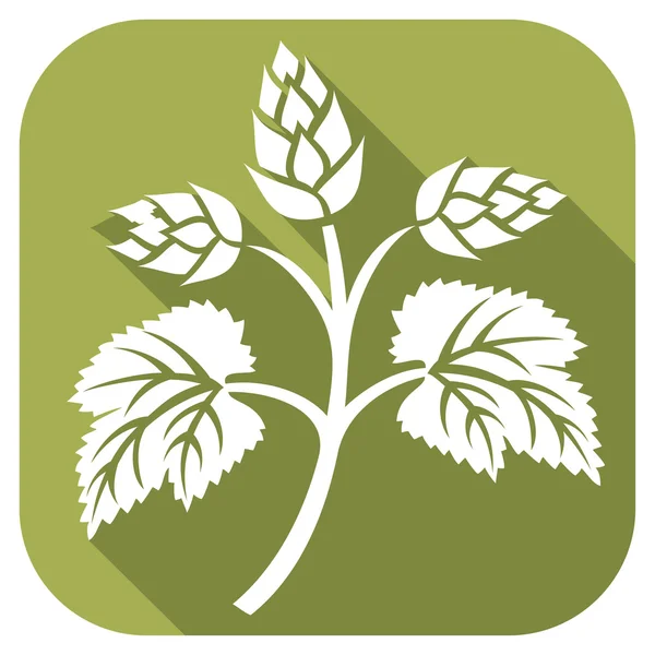 Hops leaves flat icon — Stock Vector