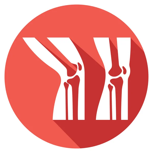 Menselijke knie anatomie platte pictogram — Stockvector