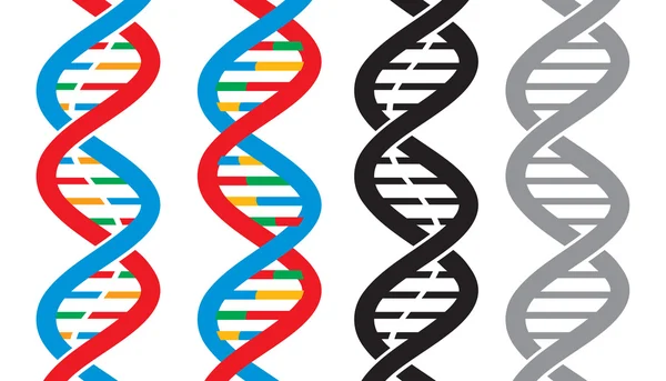 Icone del filamento del DNA vettoriale — Vettoriale Stock