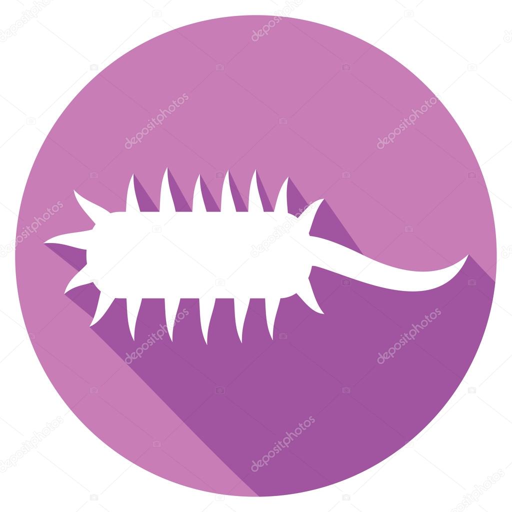 bacterial cell flat icon